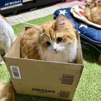 きうぴ 会員画像