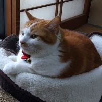 ta-tsuさん