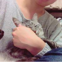 ちなん 会員画像