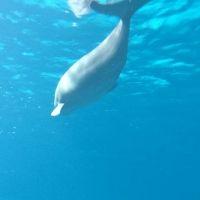 ニャン汰郎 会員画像