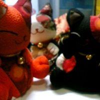 レム 会員画像