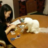 すずちか 会員画像