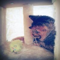 ゆにゃ 会員画像