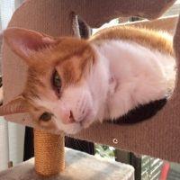 ひかみら 会員画像