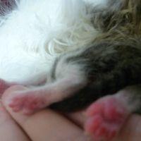 bucchi-mama 会員画像