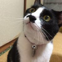 南国娘 会員画像