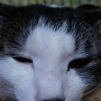 りりぃ' 会員画像
