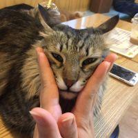 りさぶーたん 会員画像