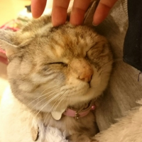 会員画像