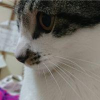 息子を探してます 会員画像
