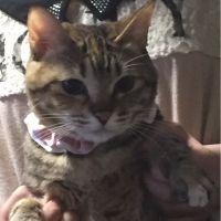 会員画像