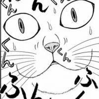 会員画像
