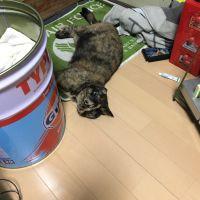 サビユウスケ 会員画像