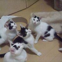 会員画像