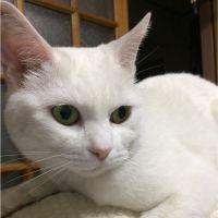 キキとモコ 会員画像