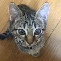れあ 会員画像
