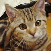 らぶメロ 会員画像