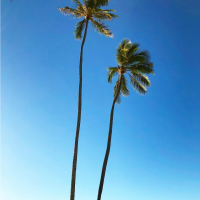 ぶぅこ 会員画像