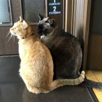 会員画像
