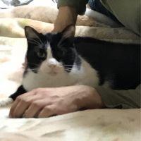 会員画像