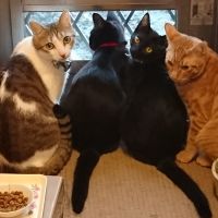 さおん 会員画像