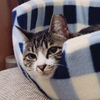 こと松 会員画像