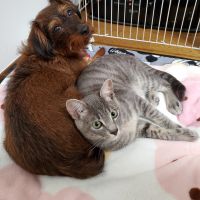 ちろむぎ 会員画像