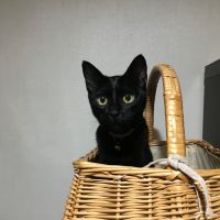 はるみち 会員画像