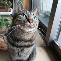はっぴーなな 会員画像