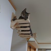 minomamaさん
