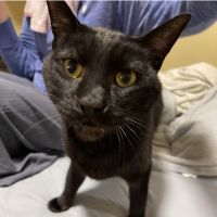 まさと1209 会員画像