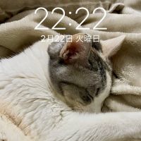 もーちゃん♡さん