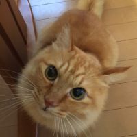 nonta-love 会員画像