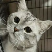 ginta221 会員画像