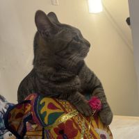兒島理衣さん