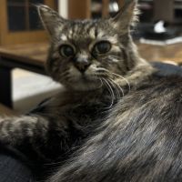 レディナガン 会員画像