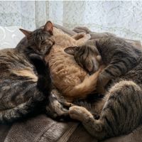 さぁやぁぁさん