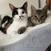 サニこ 会員画像