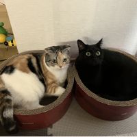M&Rさん
