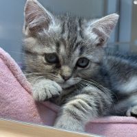 さすちゃんーさん