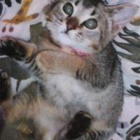 mon-chan 会員画像