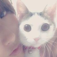 ことみゅ 会員画像