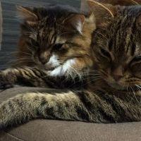 takazuu 会員画像