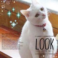 イカスミ 会員画像