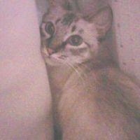 ヒーコ 会員画像