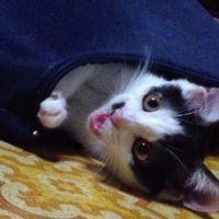 会員画像