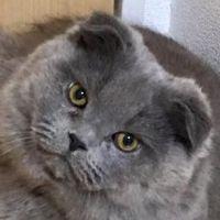 くまたっちゃん 会員画像