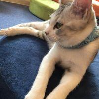 らんらん丸 会員画像