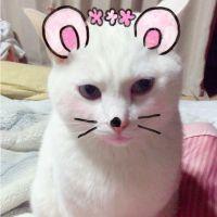 まなみん(*´꒳`*) 会員画像