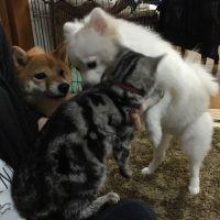 会員画像